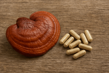 nootropic mushroom blend